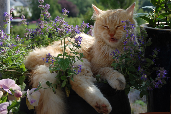 immer diese Drogen...jpg